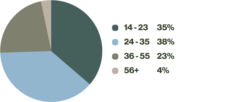 lAge Representation Graph